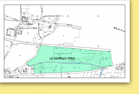 Maraispria c63